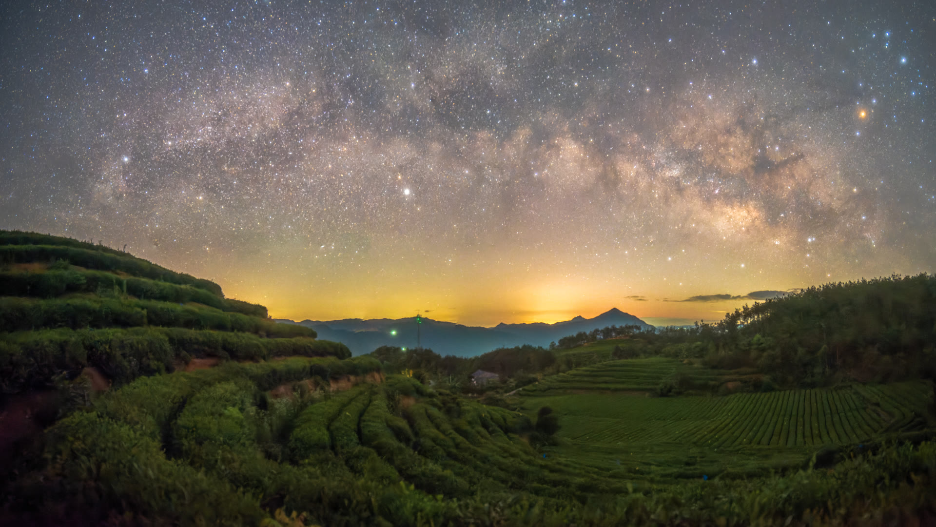 云雾山银拱